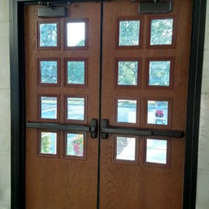 Wood Doors with Multiple Windows